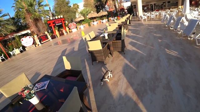 Club Hotel Sera 5*, Турция, Анталия, Лара. Обзор отеля смотреть онлайн