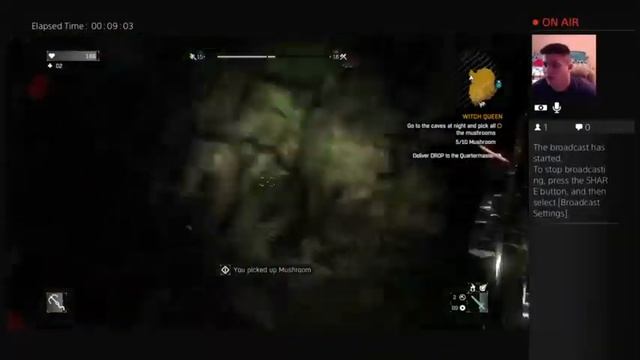 Dying Light Side Quest: Witch Queen смотреть онлайн