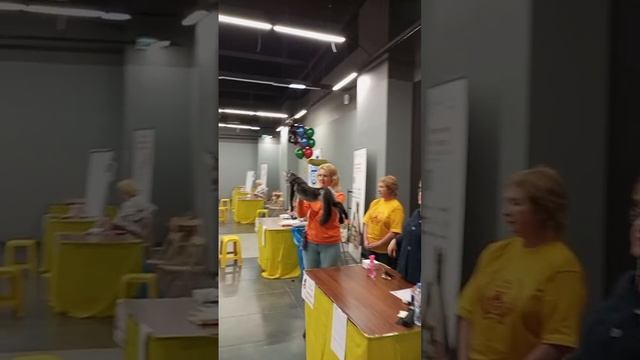 GranatWCF3 #cats #kittens #mainecoon #кошки