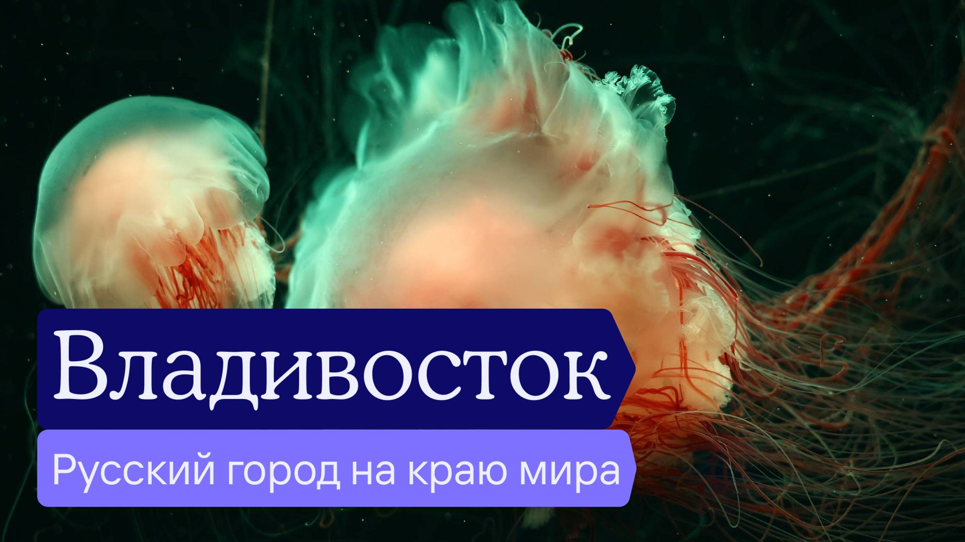 Путешествие на Дальний Восток смотреть онлайн