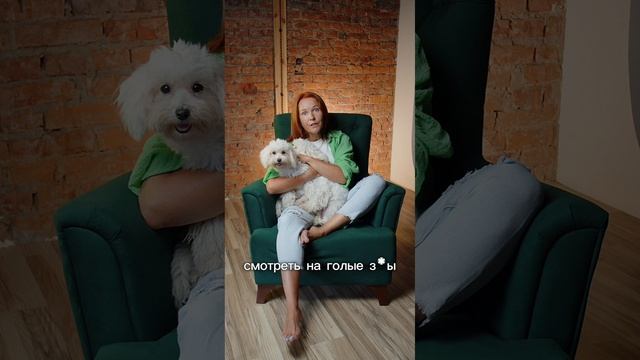 Спальный район. Недвижимость в Сочи. ГРЦ Сочи. смотреть онлайн