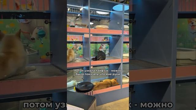 Лучше один раз увидеть! Артефакт Тревел