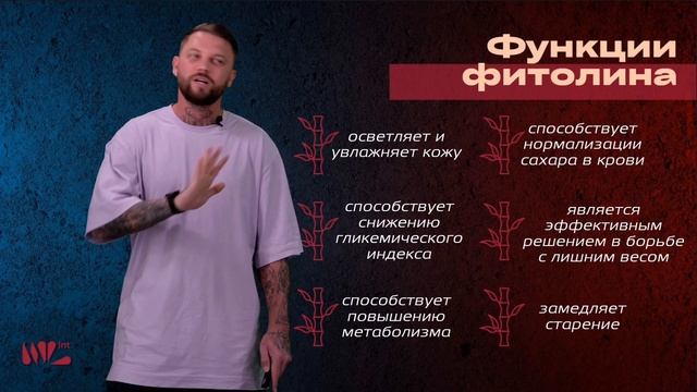 BEAUTY BLEND - Новинка компании NL