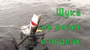 ЩУКА на ДЖЕРКИ. Борьба с перехлестами.