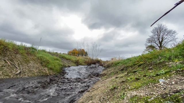 Строительство, бобровая плотина рухнула и забила сливную трубу смотреть онлайн