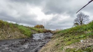 Строительство, бобровая плотина рухнула и забила сливную трубу