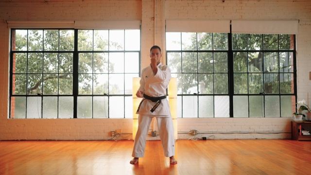 15 базовых движений каратэ Сётокан