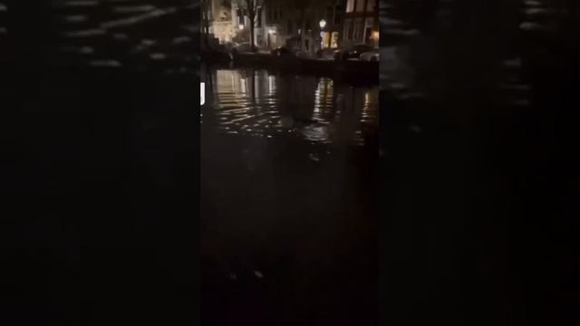 Джихадисты совершают еврейские погромы смотреть онлайн