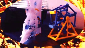 Когда Морозко путешествует, играет и жонглирует тюбиком!!!