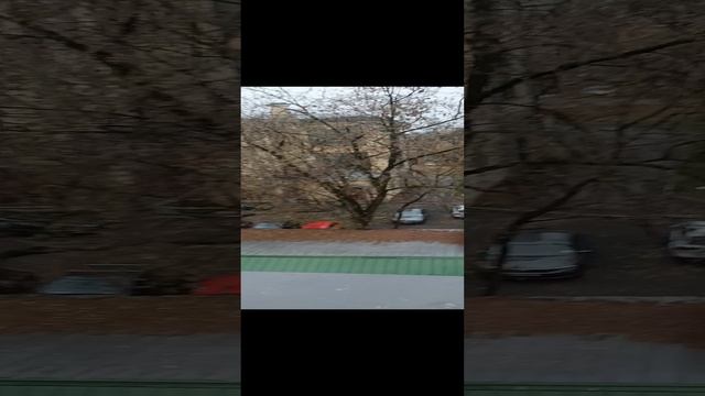 Honor 90 Lite видео качество