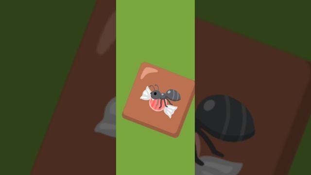 как испортить жизнь муравьёв