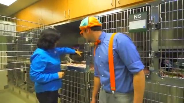 Blippi Visits a Zoo And Learns About Animals! _ Educational Videos for Kids смотреть онлайн