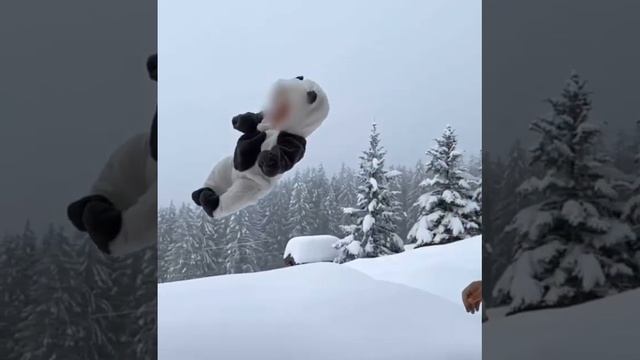 В Думе заинтересовались кинувшим в сугроб младенца блогером смотреть онлайн