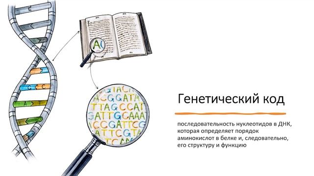 Биология 9 Класс 1 Часть смотреть онлайн