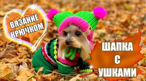 Вяжем шапку с ушками для собак и кошек крючком 🐾💕 | Подробный Мастер-класс от Яны Skywool