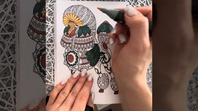 Раскраска антистресс смотреть онлайн