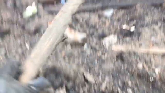 Раскопки мамонта в городе Нюрба