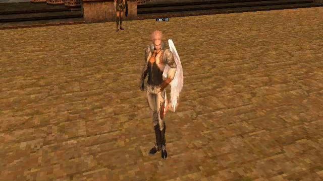 Lineage 2 techno-kamael.wmv смотреть онлайн
