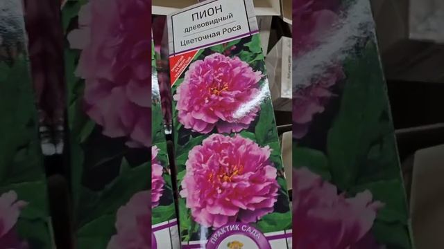 Ассортимент плодовых и декоративных растений. Лучшие сорта роз. Лучшие сорта гортензии, клематисов.