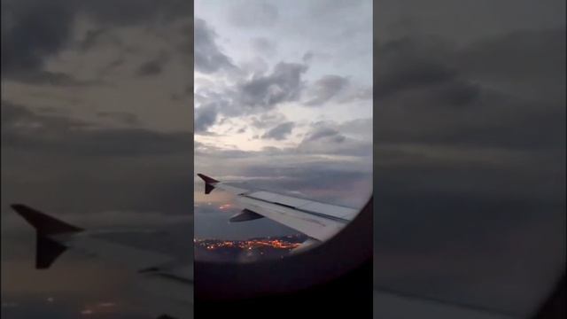 Вид из окна. Александра Миркушова