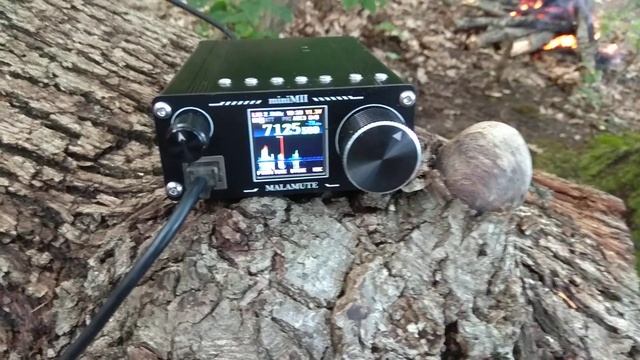 15 июня 2020 г. смотреть онлайн