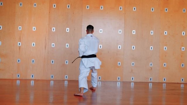 1 Все пять ката Хейан (вид спереди и сзади)