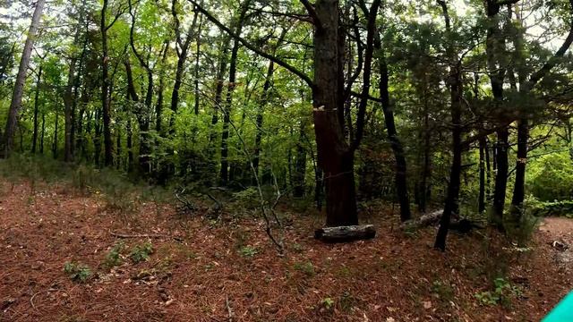 По грибы на Питунах смотреть онлайн