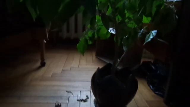 16 смотреть онлайн