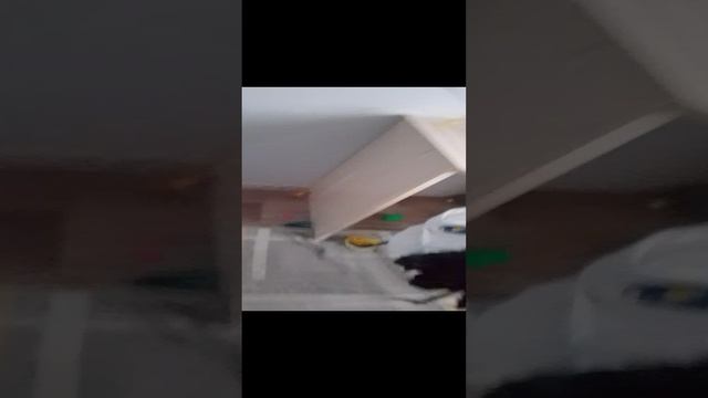 день с реборном смотреть онлайн