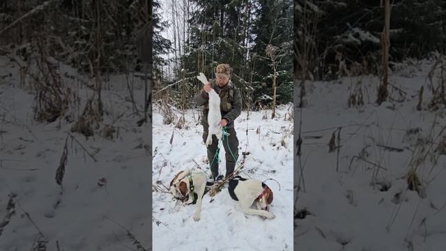 Охота в Кировской области. +18 смотреть онлайн