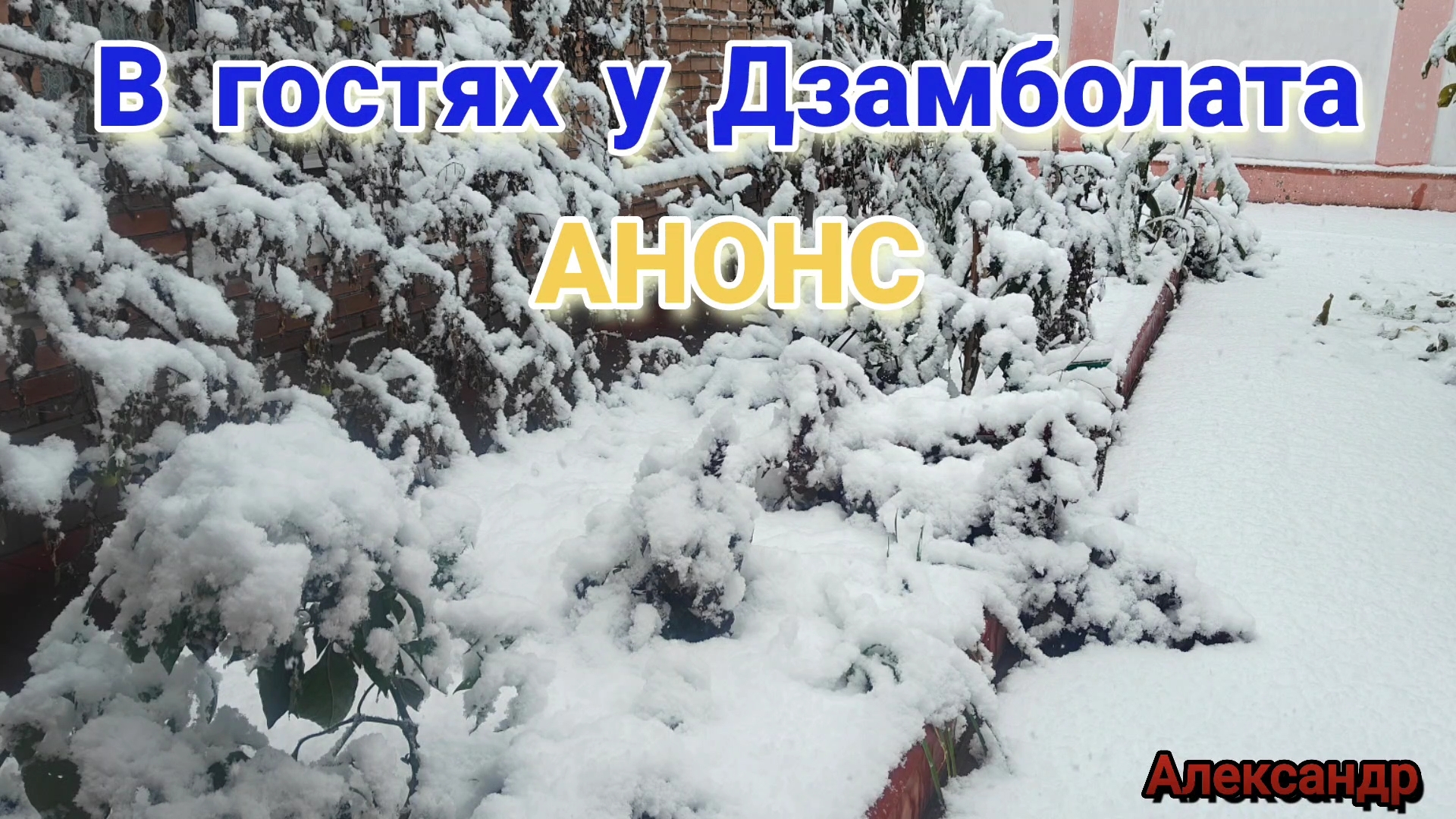 В гостях у Дзамболата, АНОНС