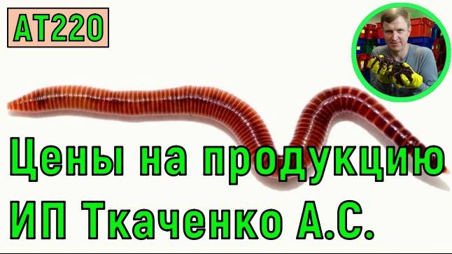 АТ220 цены на продукцию ИП Ткаченко АС оплата и отправка смотреть онлайн