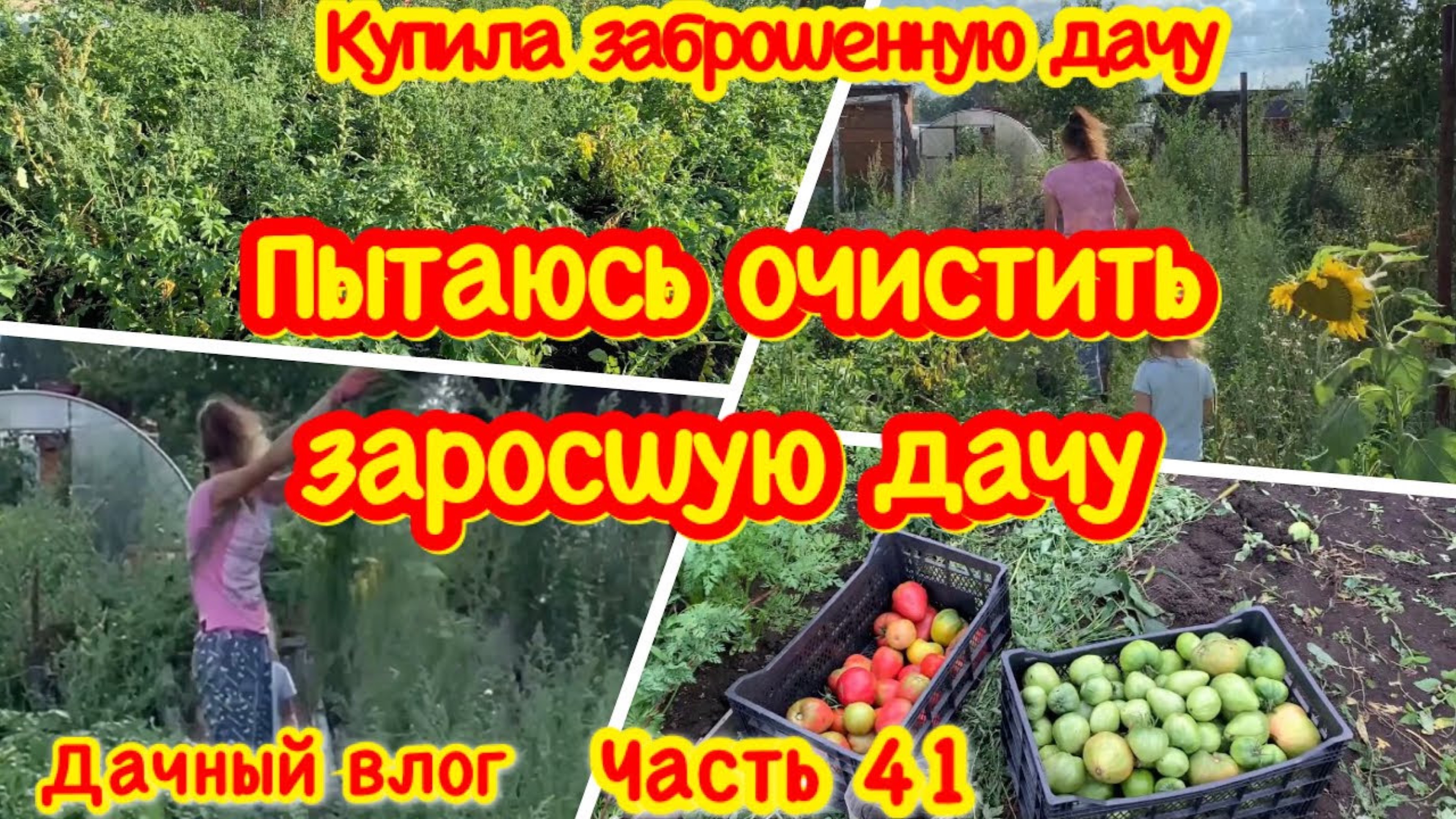 КУПИЛА ЗАБРОШЕННУЮ ДАЧУ/СПАСАЮ СВОЙ ЗАРОСШИЙ ОГОРОД/ВСЕ ЗАРОСЛО СОРНЯКАМИ/ДАЧА/СОБИРАЮ УРОЖАЙ