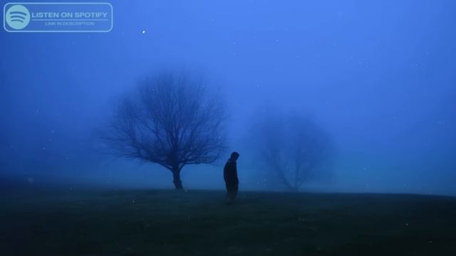 What It Feels Like To Be A Memory (playlist)