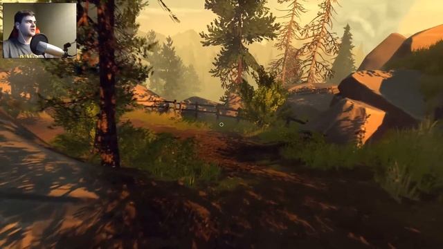 PSYCHOPATA NAS OBSERWUJE - FIREWATCH #4 смотреть онлайн