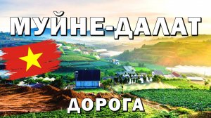 Муйне-Далат 2024.Мототрип.Серпантин, Водопад, Прогулка. #муйне #далат #вьетнам2024