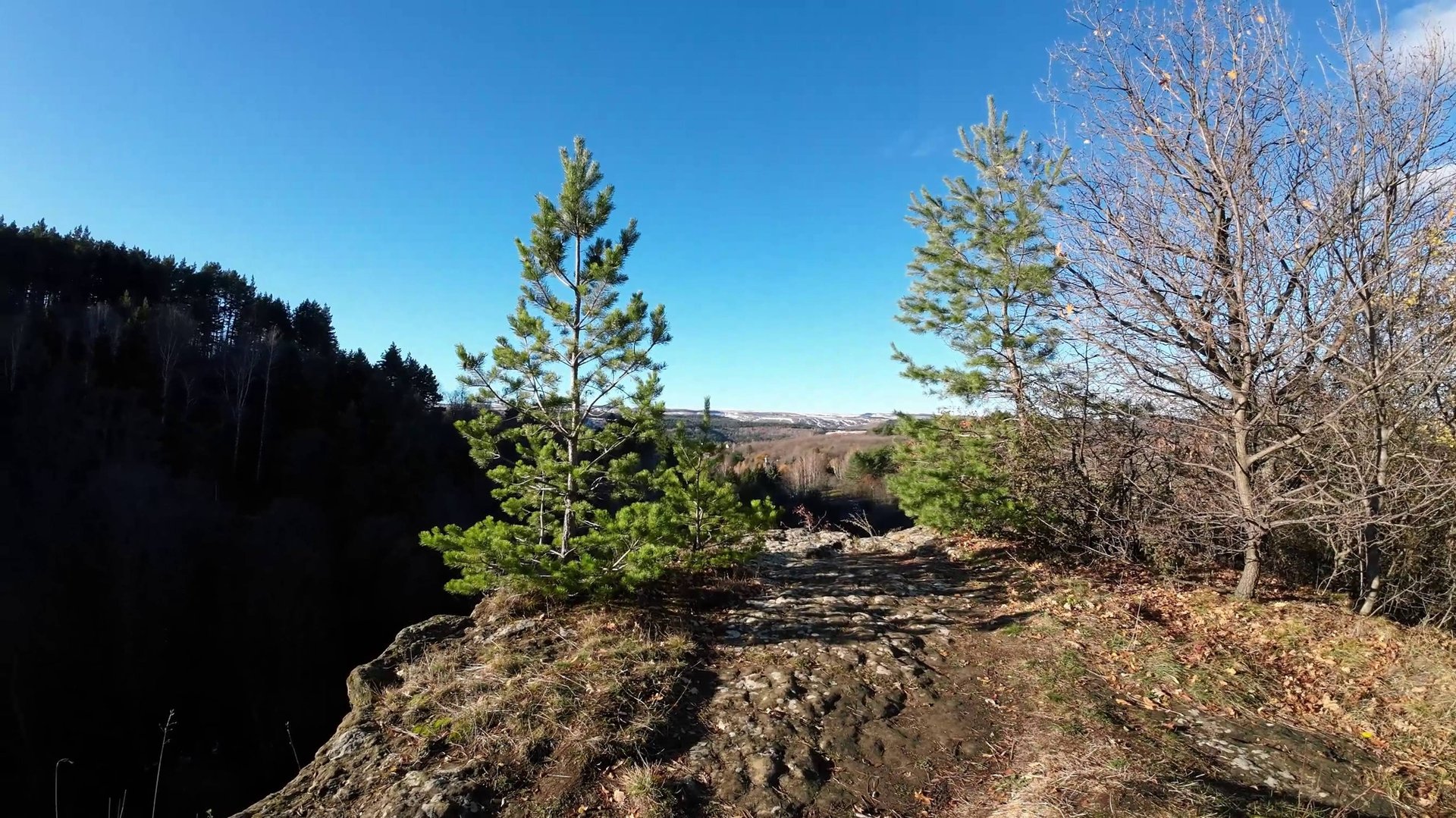 Кисловодский парк. Целебный релакс в осенний день. 8 ноября 2024 г. смотреть онлайн