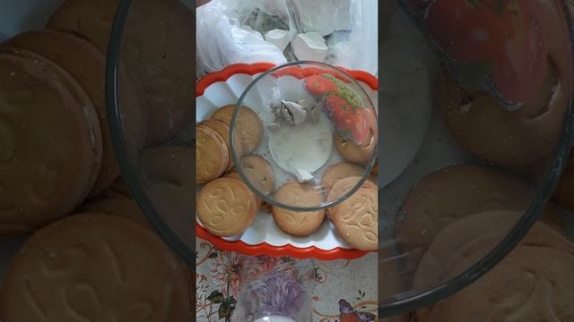 Wet chalk. Мокрый красавчик / #asmr #мукбанг #crunch #mukbang #chalk #mel #мел смотреть онлайн