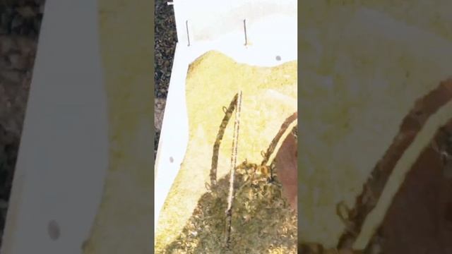 Murska для сельского хозяйства #murska