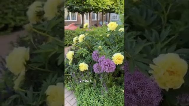 Вырастить ПРОСТО с Агрофирмой ПОИСК