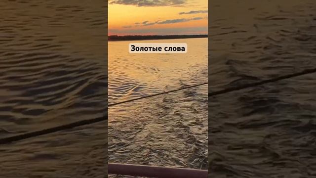 ☝️Золотые слова #нарьянмар #насевережить #лето2024 #природа #мудрость смотреть онлайн