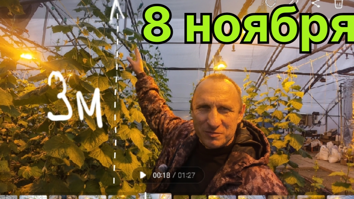 Обзор теплицы термос - высокая шпалера для огурцов. Эксперимент смотреть онлайн