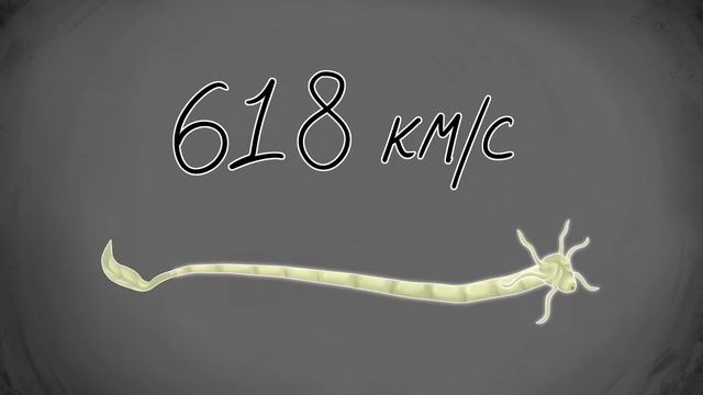 [ Детектив Войд ] SCP - 1682
Солнечный паразит ( Анимация SCP ) смотреть онлайн
