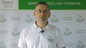 Ежевика. Агротехника. Ответы на вопросы садоводов.