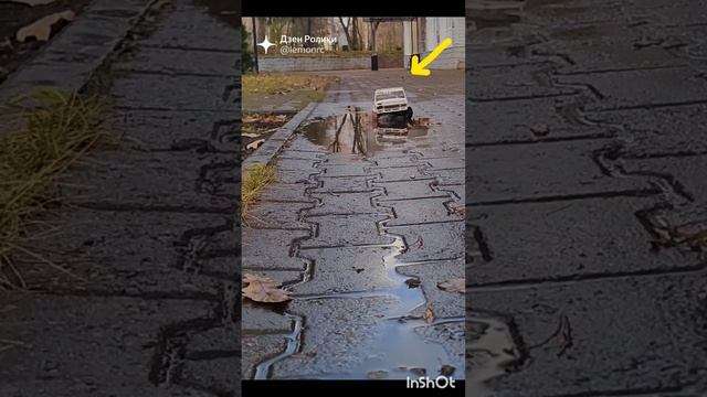 1000043923.mp4 смотреть онлайн