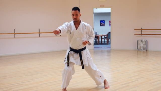 2 Все пять ката Хейан (медленная версия)