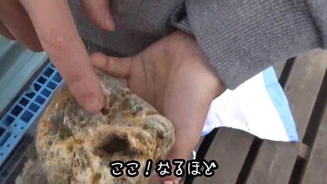 瑪瑙を拾いに行って来た♪茨城県大洗公園前海岸 смотреть онлайн