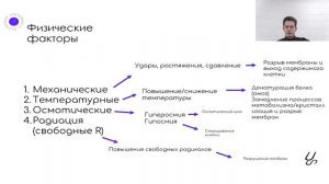 Патологическая физиология | Типовые процессы. Механизмы повреждения клеток