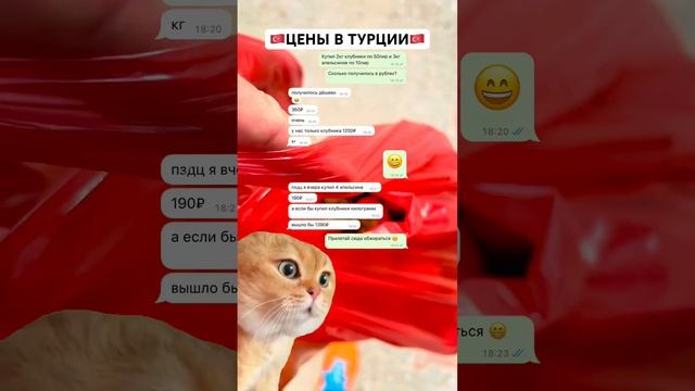 ЦЕНЫ НА ПРОДУКТЫ В ТУРЦИИ смотреть онлайн