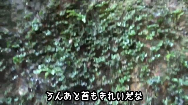 瑪瑙ゲットして来た♪茨城県諸沢川 смотреть онлайн